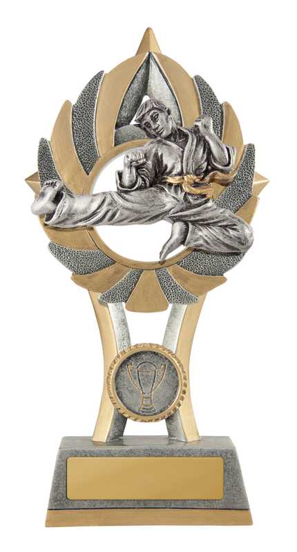 EziRez FIN Series – Martial Arts
