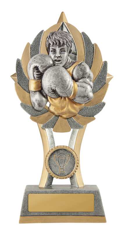 EziRez FIN Series – Boxing