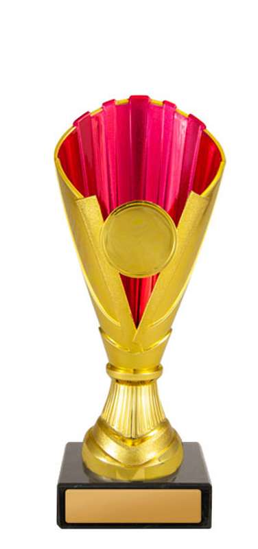 Norwood Cup
