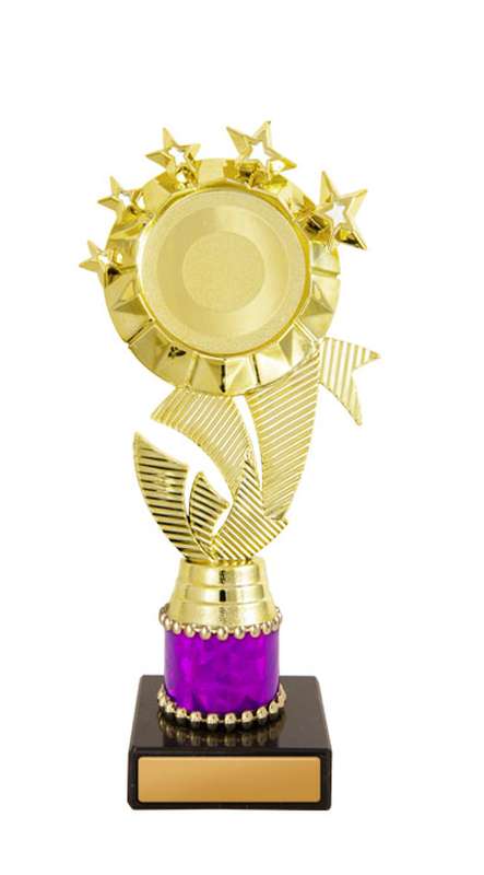 Star Holder